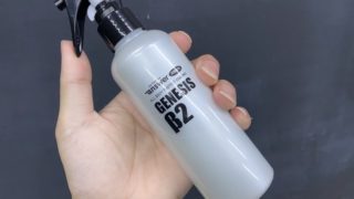 GENESIS β2